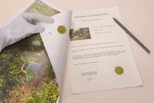 Charger l'image dans la galerie, Jardin des plantes